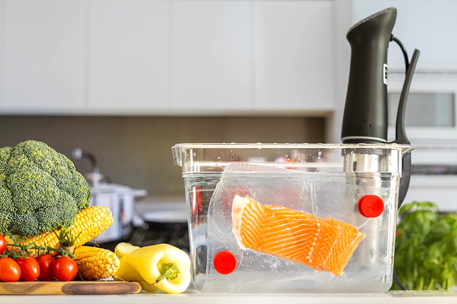Sous Vide Magnets Set of 8 - F - Camping Cooking Tool Set ulasan dan harga