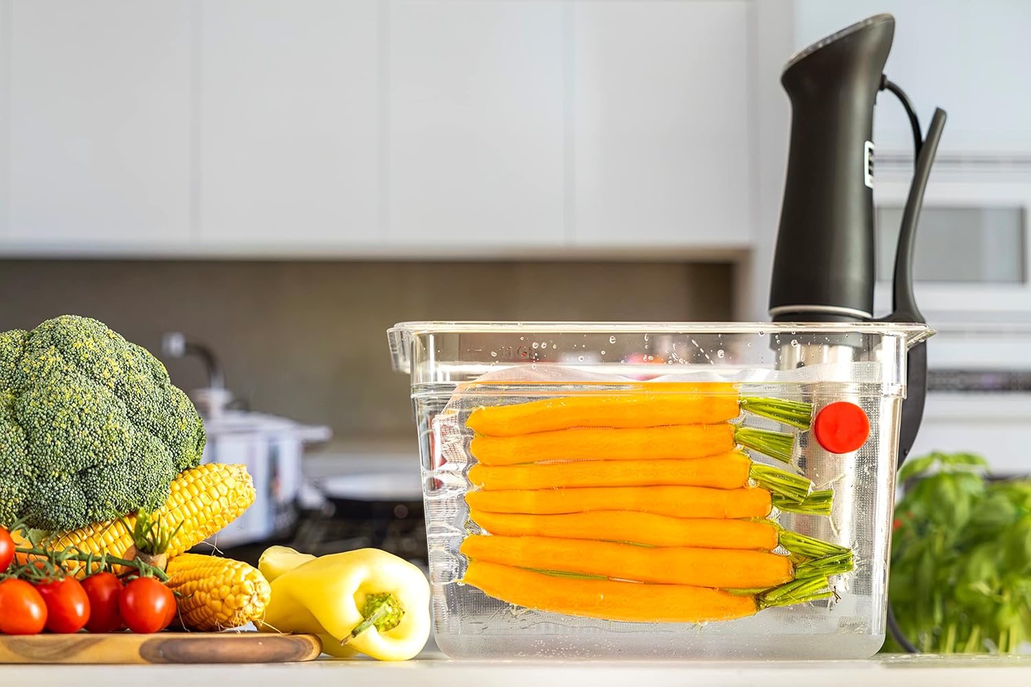 Sous Vide Magnets Set of 8 - F - Camping Cooking Tool Set ulasan dan harga